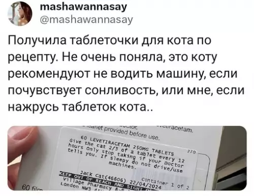 Смешная картинка №720248 Теперь понятно
