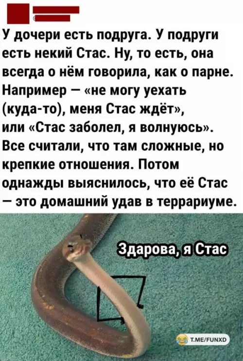 Смешная картинка №652042