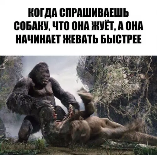 Смешная картинка №250681