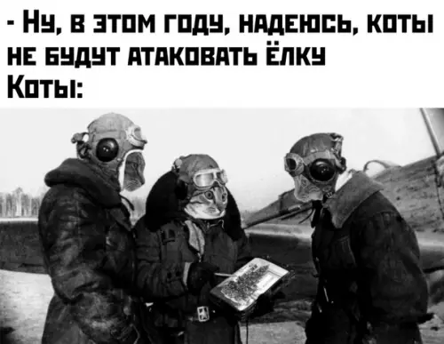 Смешная картинка №434528