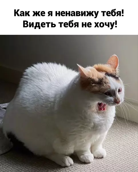 Смешная картинка №561912