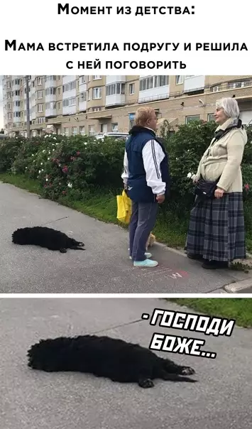 Смешная картинка №543764
