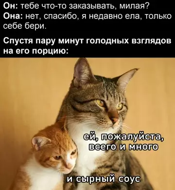Смешная картинка №781314