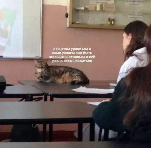 Смешная картинка №595517 Школа, в которую я бы ходил