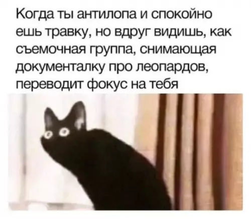Смешная картинка №762245