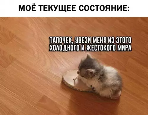 Смешная картинка №369833 Куда-нибудь к морю, пожалуйста