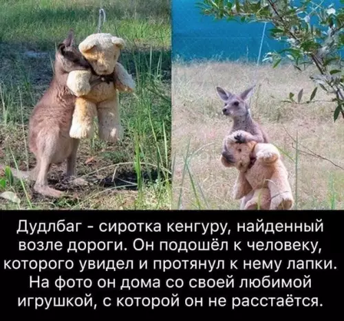 Смешная картинка №472799 Oпять плaкaть в этиx интepнeтax