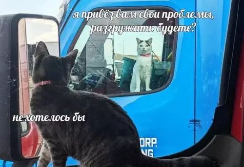 Смешная картинка №759800