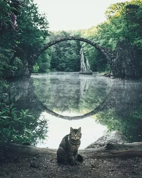 Смешная картинка №292553 "Да, тут достаточно живописно. Сфоткай меня на аву."