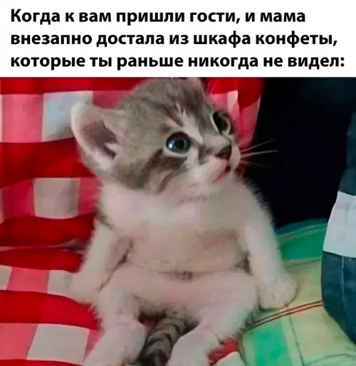 Смешная картинка №687837