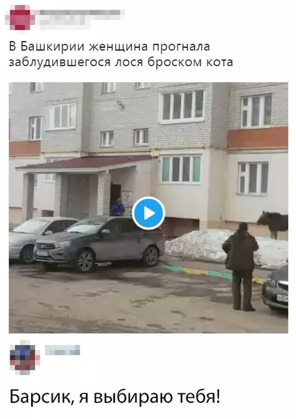 Смешная картинка №340342