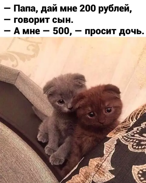 Смешная картинка №541255