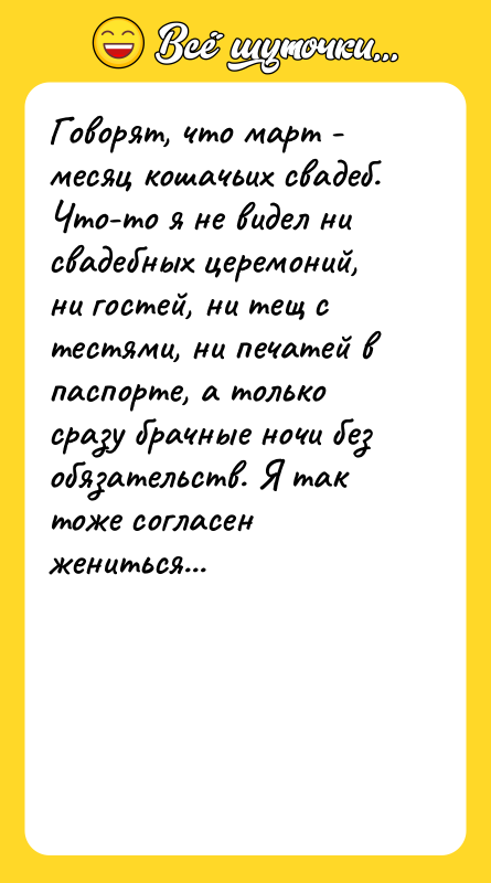 Говорят, что март - месяц кошачьих свадеб. Что-то я не