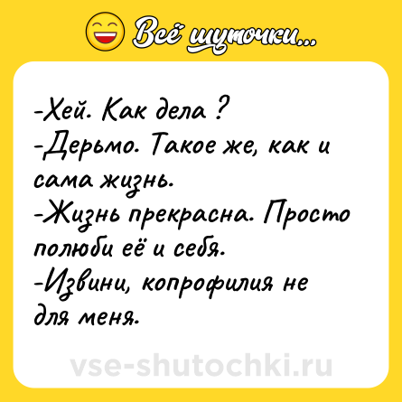 Шутка: -Хей. Как дела ? <br>-Дерьмо. Такое же, как и сама жизнь. <br>-Жизнь прекрасна. Просто полюби её и себя. <br>-Извини, копрофилия не для меня.