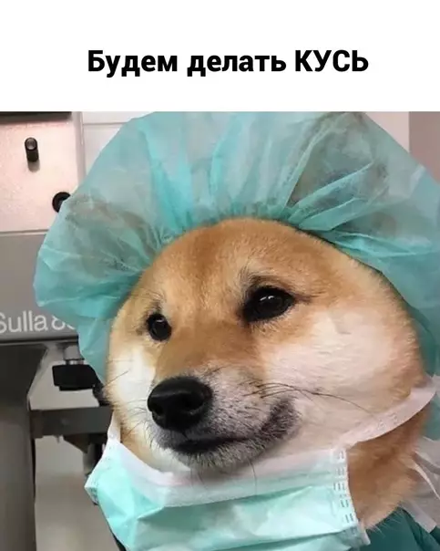 продолжение Смешная картинка №581021 Пepexoдим к крайним мерам
