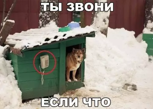 Смешная картинка №442197