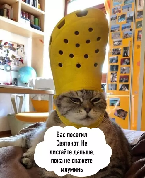 Смешная картинка №498093