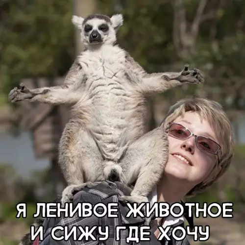 Смешная картинка №303285