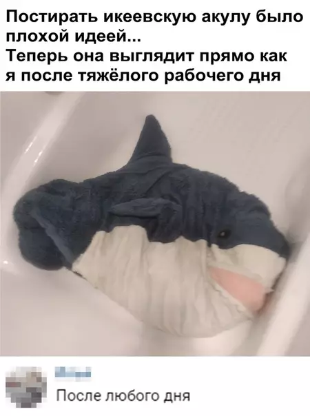 Смешная картинка №364355