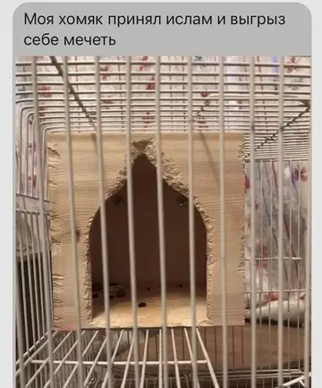 Смешная картинка №744108