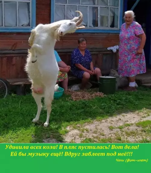 Смешная картинка №184315 СТАНЦУЕМ