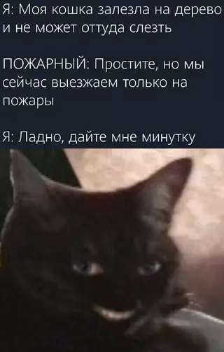 Смешная картинка №708371