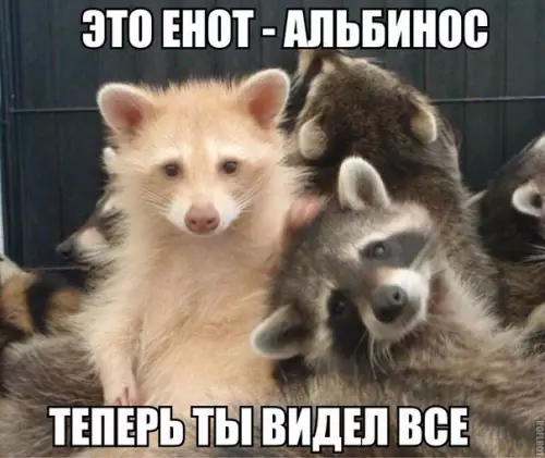 Смешная картинка №175187