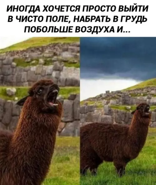 Смешная картинка №749444