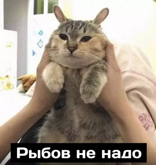 Смешная картинка №673278