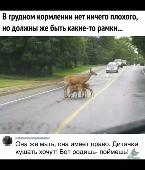Смешная картинка №372667