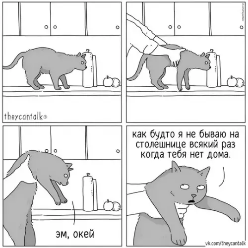 Смешная картинка №763469 домашние животные