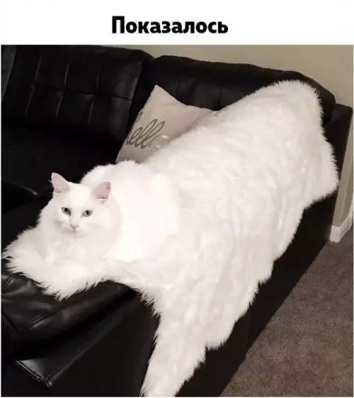 Смешная картинка №267859