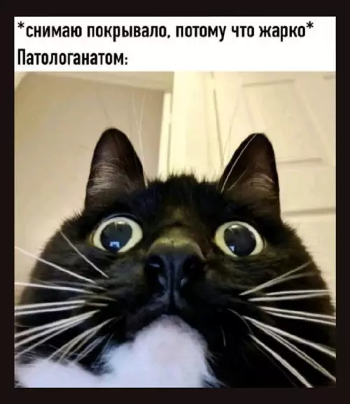 Смешная картинка №742399