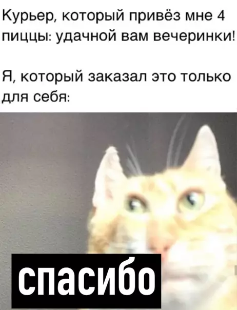 Смешная картинка №556395