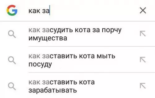Смешная картинка №261677 Давно задаюсь этими вопросами коты
