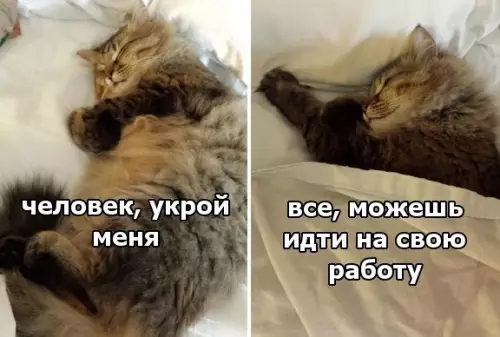 Смешная картинка №394316
