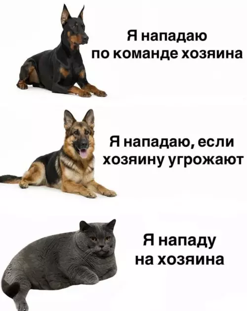 Смешная картинка №805641