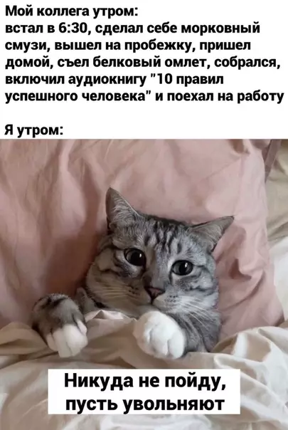 Смешная картинка №537960