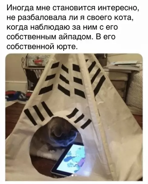 Смешная картинка №549918 Господину все разрешается