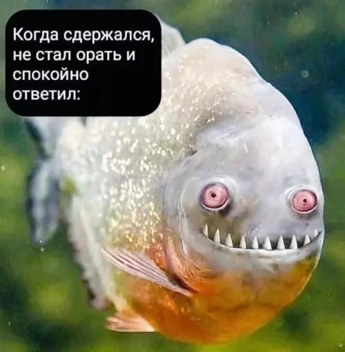 Смешная картинка №790894