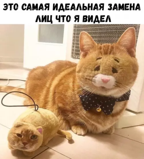 Смешная картинка №360004