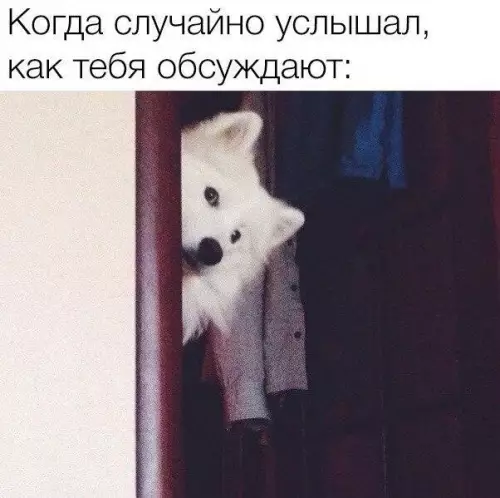 Смешная картинка №330545 Минутка жизненного