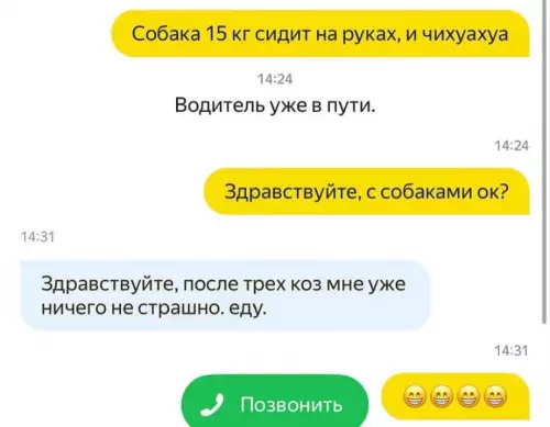 Водитель таксист прошел проверку на прочность 😂 - Собака 15 кг сидит на руках, и чихуахуа Водитель уже