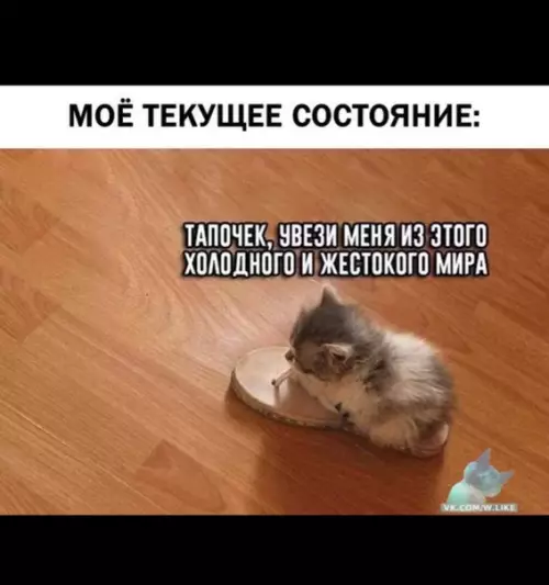 Смешная картинка №370365