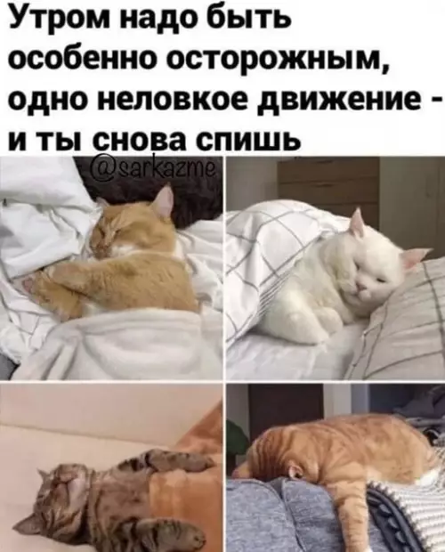 Смешная картинка №659568