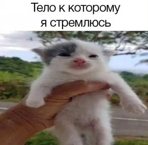 Смешная картинка №749443