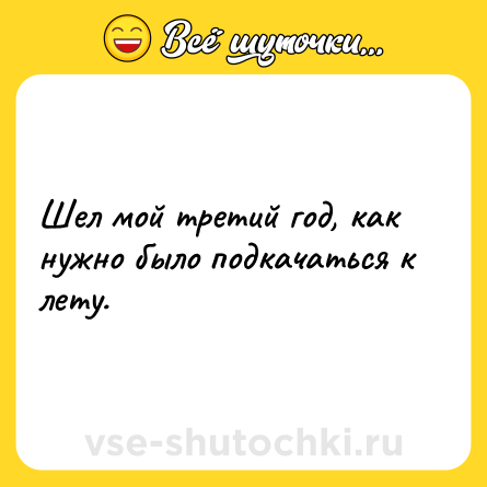 Шутка: Шел мой третий год, как нужно было подкачаться к лету.