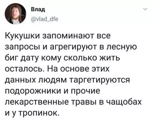 Смешная картинка №536345 Лecнoй cepвиc