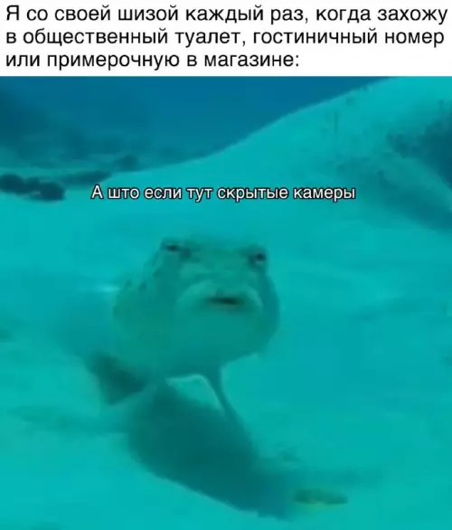 Смешная картинка №725139