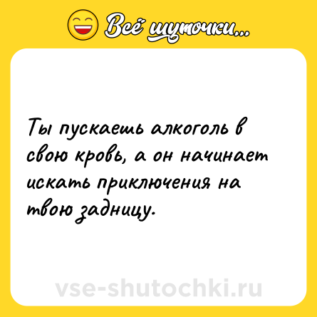 Шутка: Ты пускаешь алкоголь в свою кровь, а он начинает искать приключения на твою задницу.